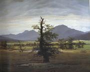 Caspar David Friedrich Landscape with Solitary Tree (mk10) Sweden oil painting artist